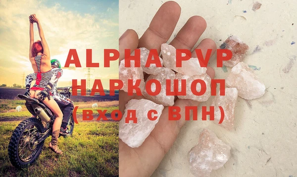 ALPHA PVP Иннополис