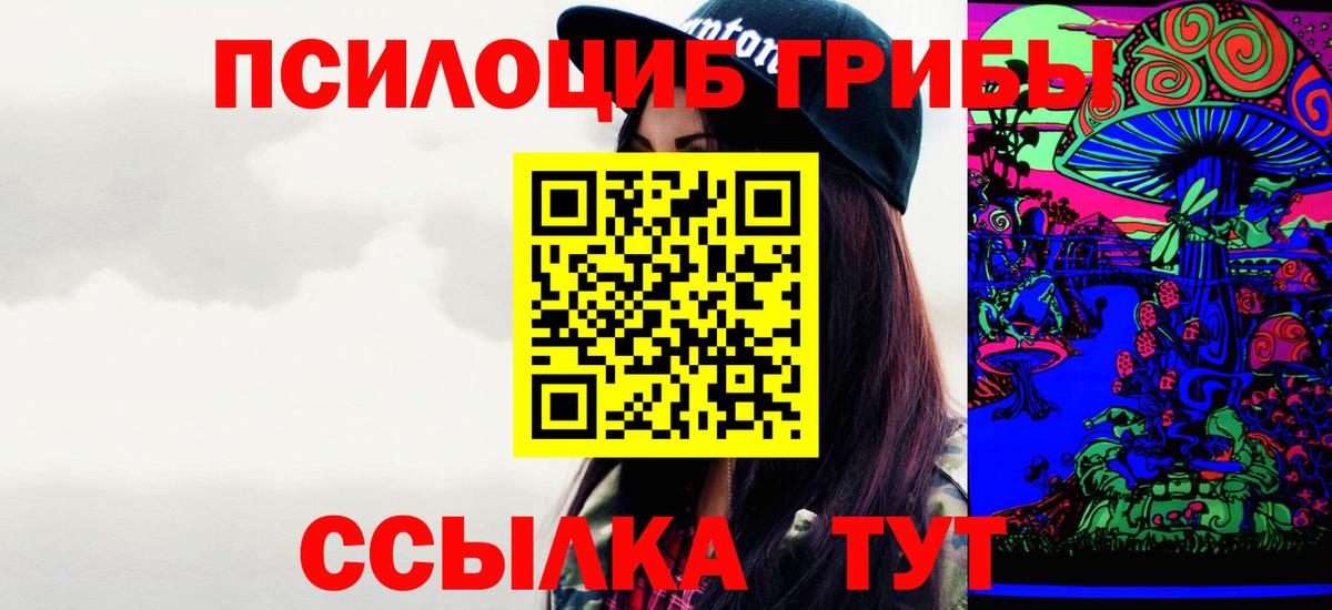 Галлюциногенные грибы Psilocybe  где купить наркоту  Белово 