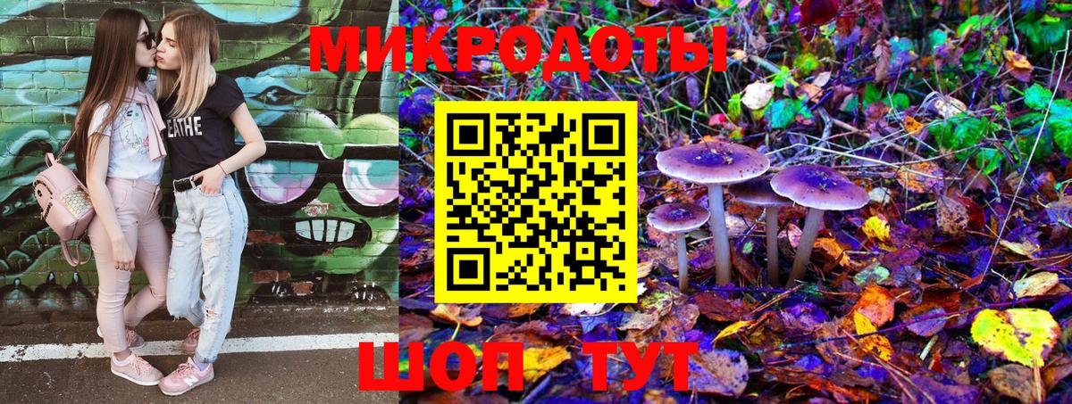 Галлюциногенные грибы Cubensis  Вход с VPN  Белово 